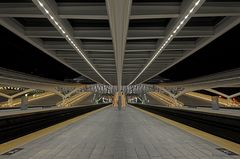 Cape Guillemins