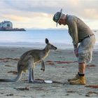 Cape Hillsborough