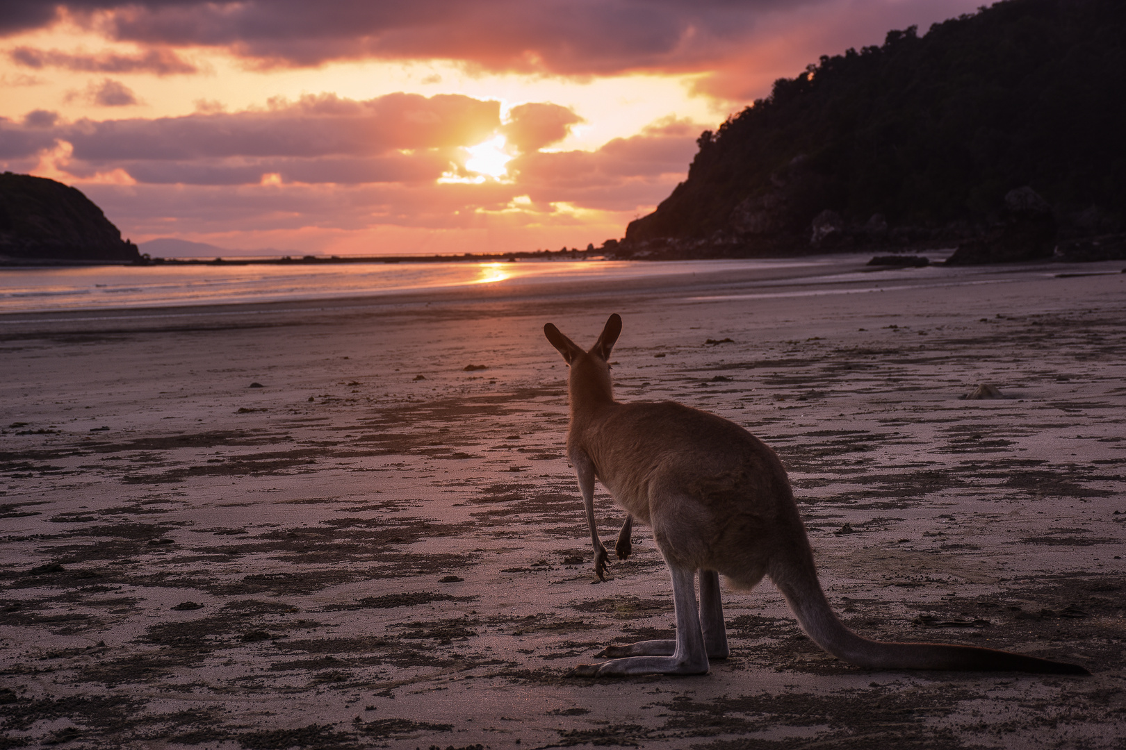 Cape Hillsborough 