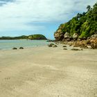 Cape Hillsborough 7