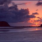 " Cape Hillsborough Nationalpark " (Reload)