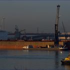 CAPE ISLAND / Bulk Carrier /Elbe Hafen / Rotterdam