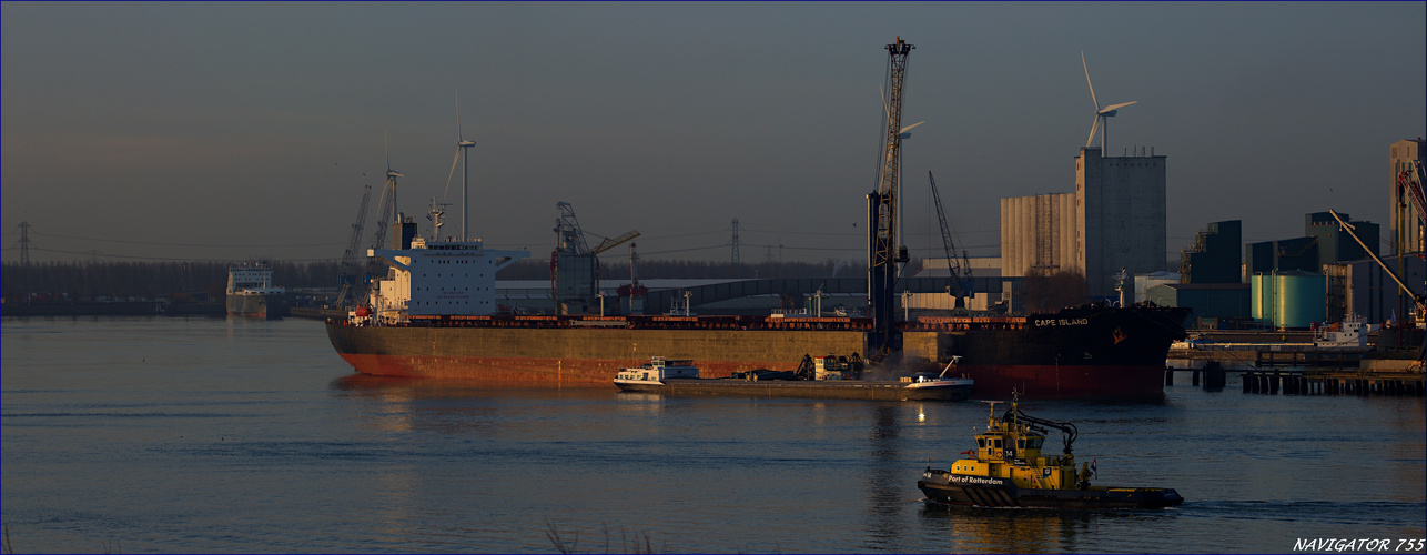 CAPE ISLAND / Bulk Carrier /Elbe Hafen / Rotterdam