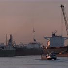 CAPE ISLAND / Bulk Carrier / Rotterdam