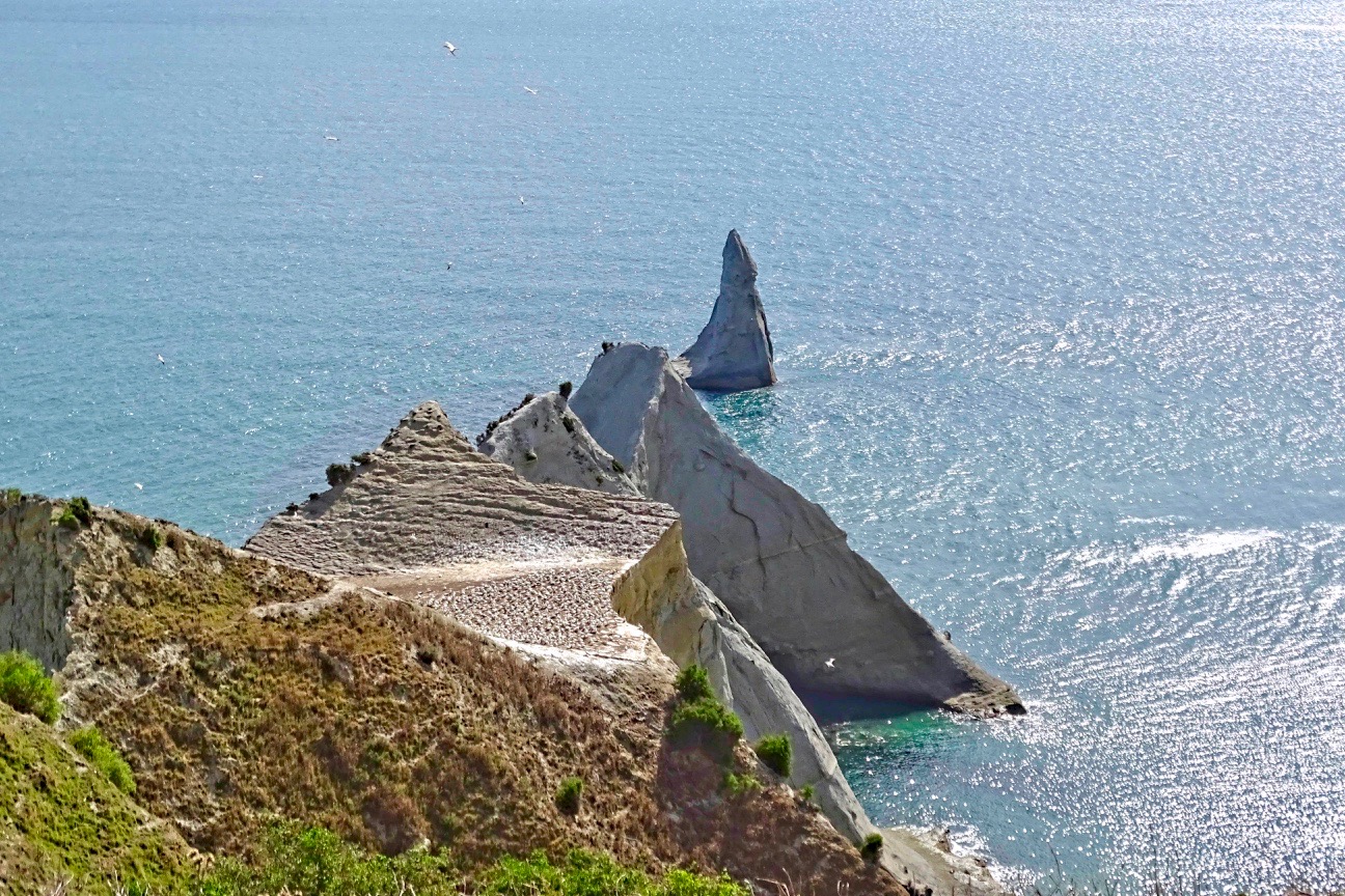 Cape Kidnappers