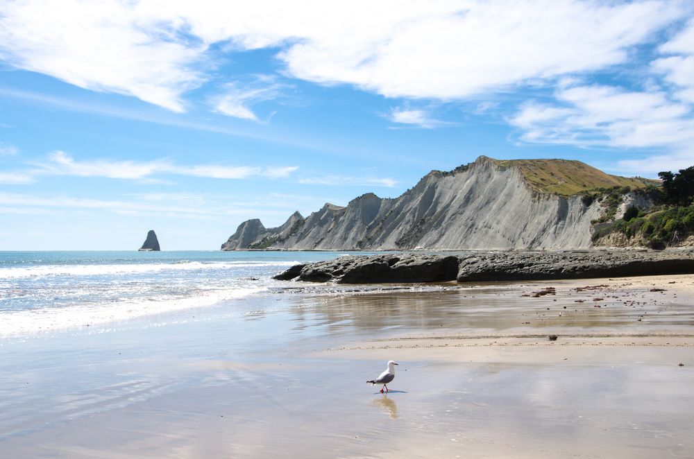 Cape Kidnappers - Hawke's Bay