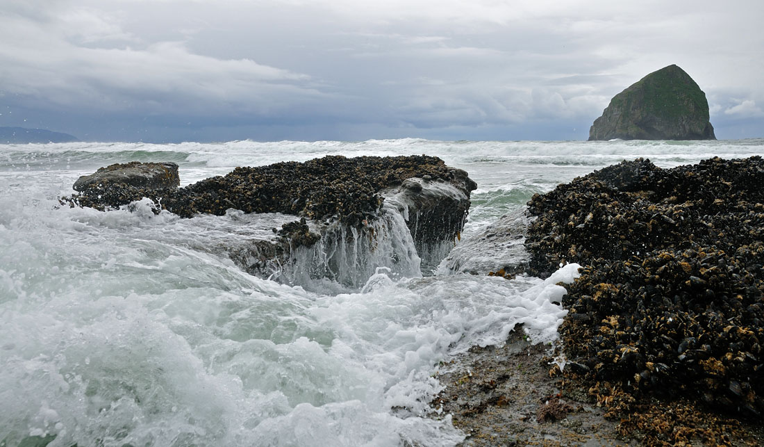 Cape Kiwanda