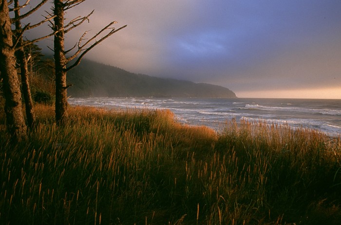 Cape Lookout - Oregon