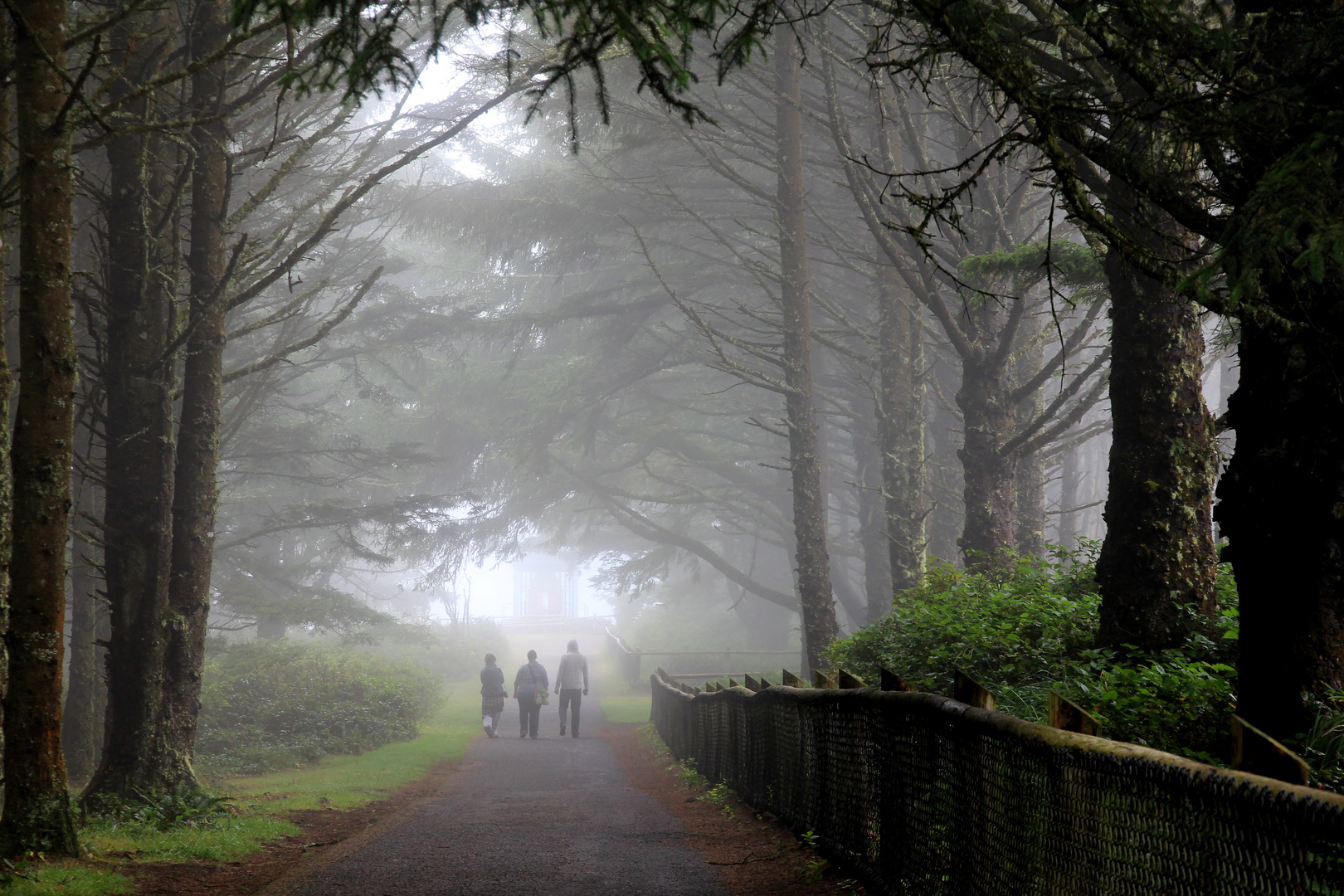 Cape Meares