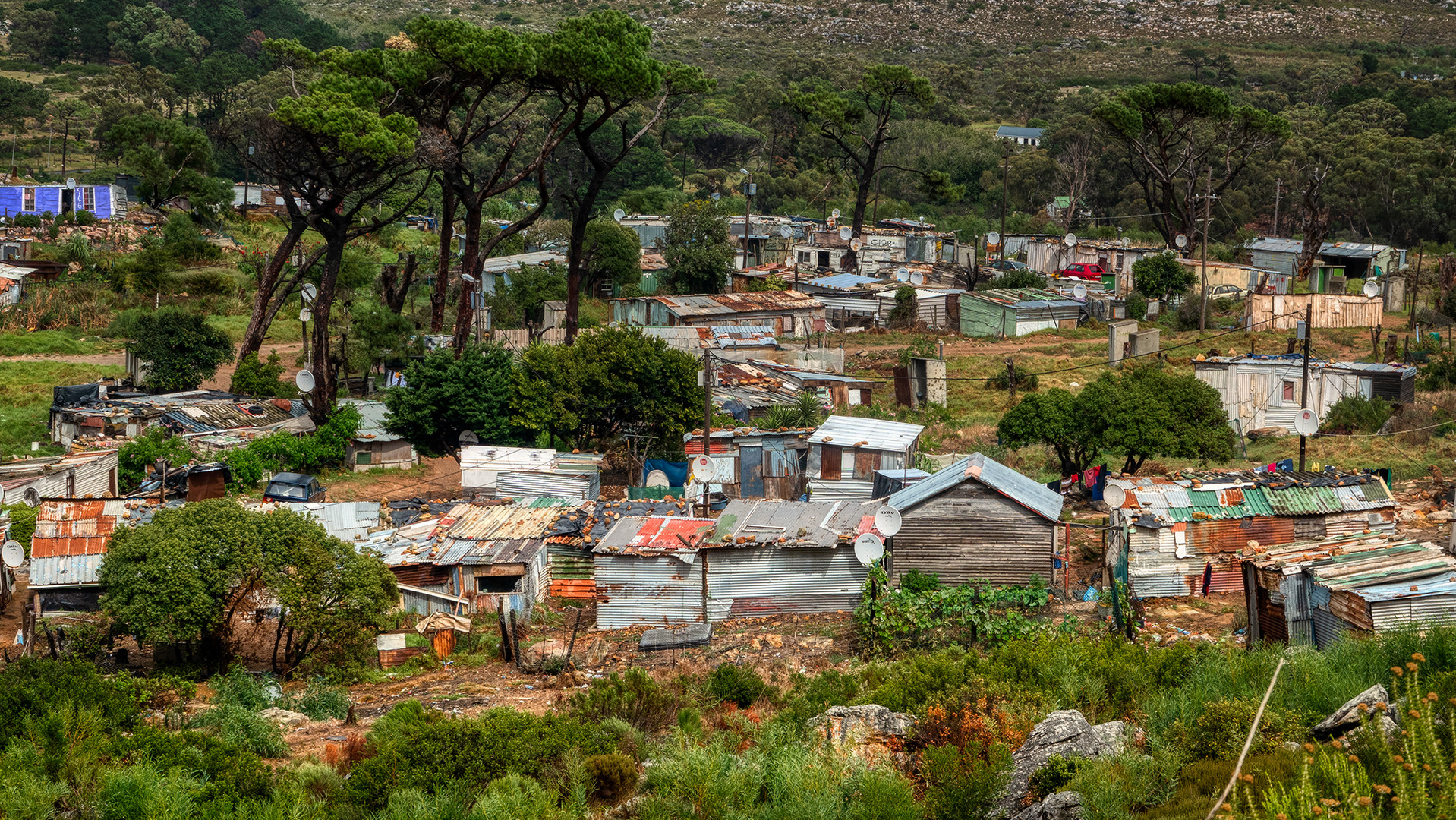 Cape of Good Hope (21)