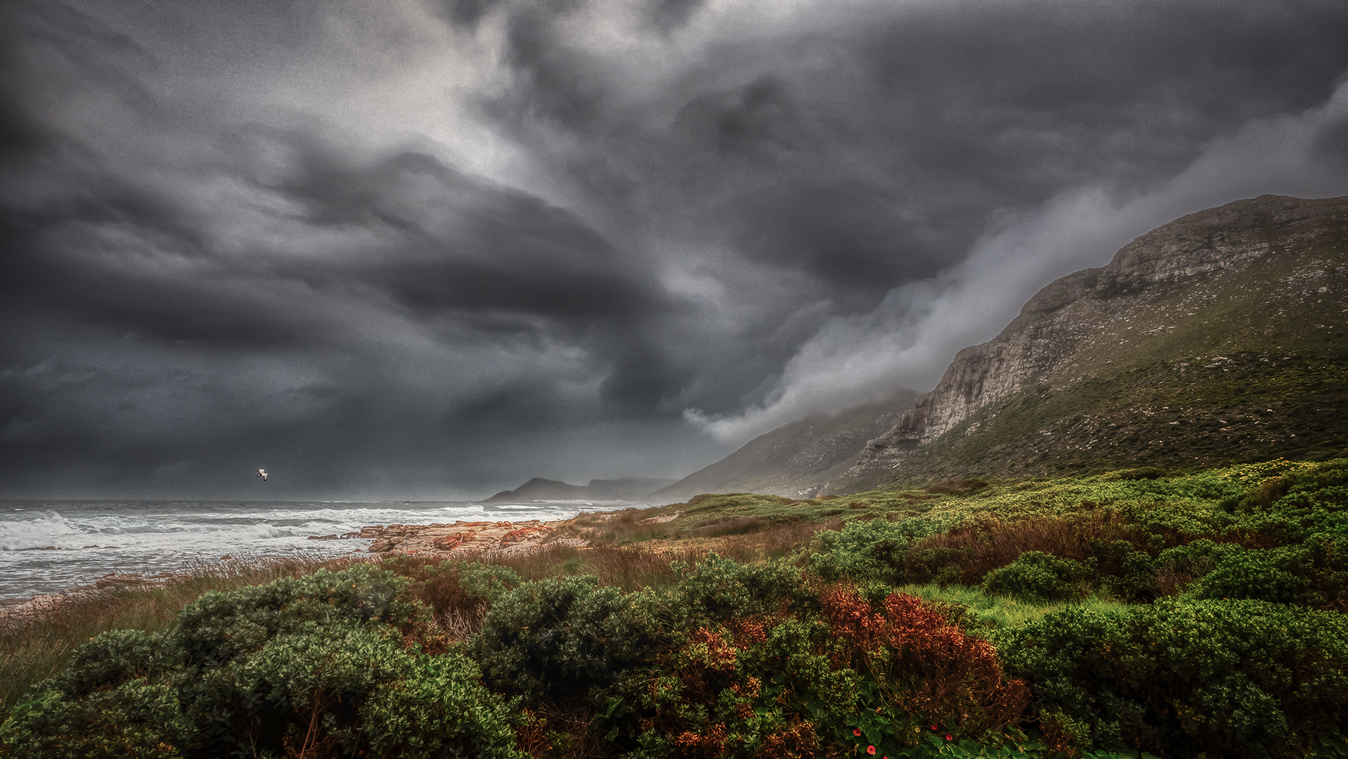 Cape of Good Hope (29)