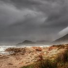 Cape of Good Hope (32)