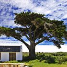 Cape of Good Hope