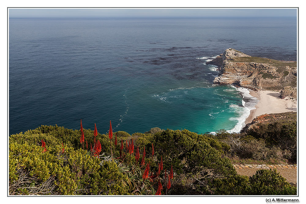 Cape of good hope