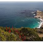 Cape of good hope