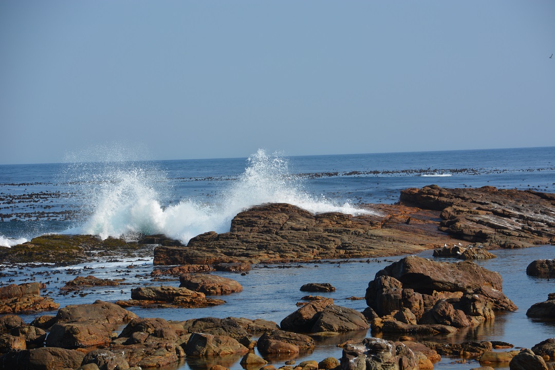 Cape of Good Hope - die Brandung ist klasse