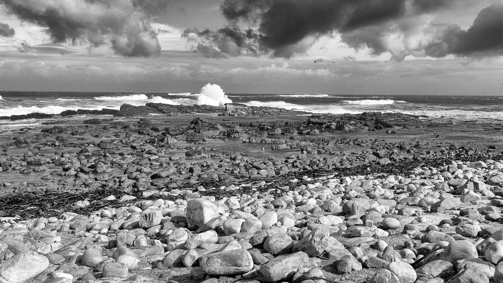 CAPE OF GOOD HOPE