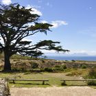 Cape of good Hope