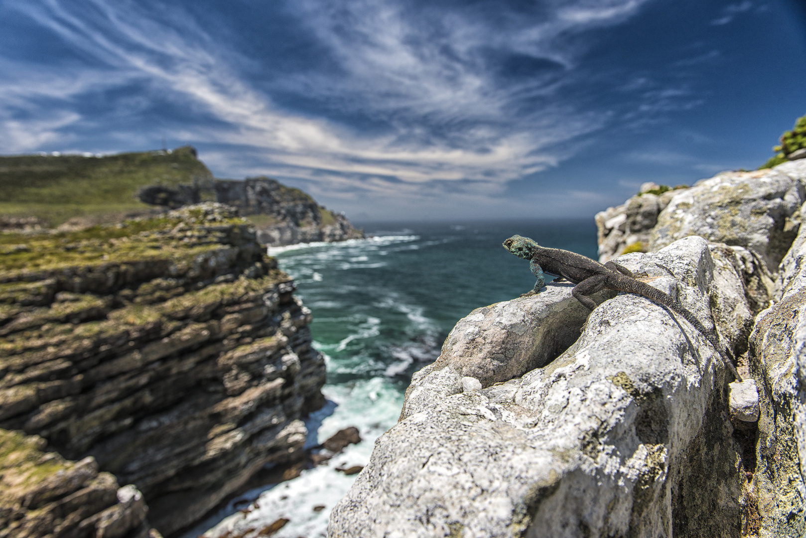 Cape Of Good Hope, South Africa