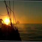 Cape of good hope - Sundowner 7