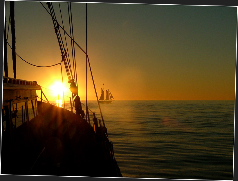 Cape of good hope - Sundowner 7