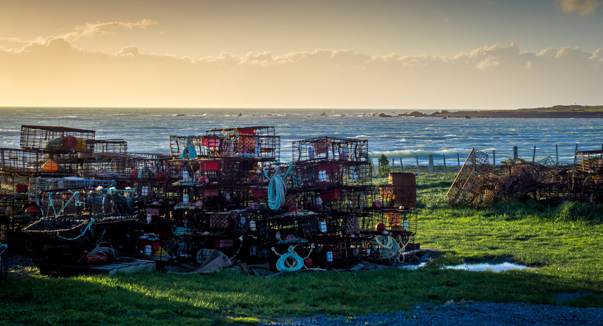 Cape Palliser