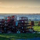 Cape Palliser