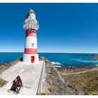 Cape Palliser - Neuseeland