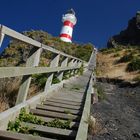 Cape Palliser (Südkap der Nordinsel)