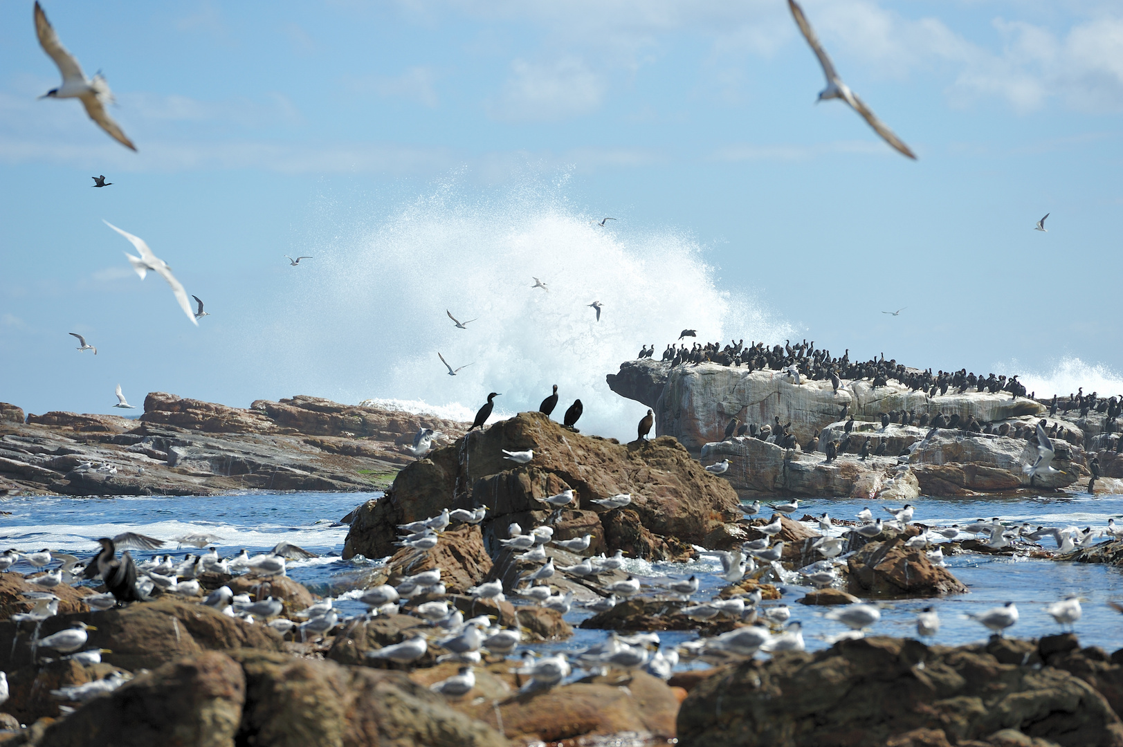 Cape Point