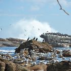 Cape Point