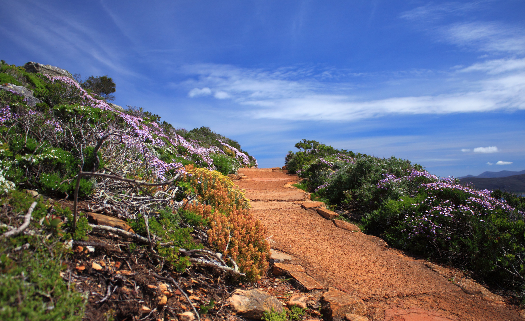 - Cape Point 2 -