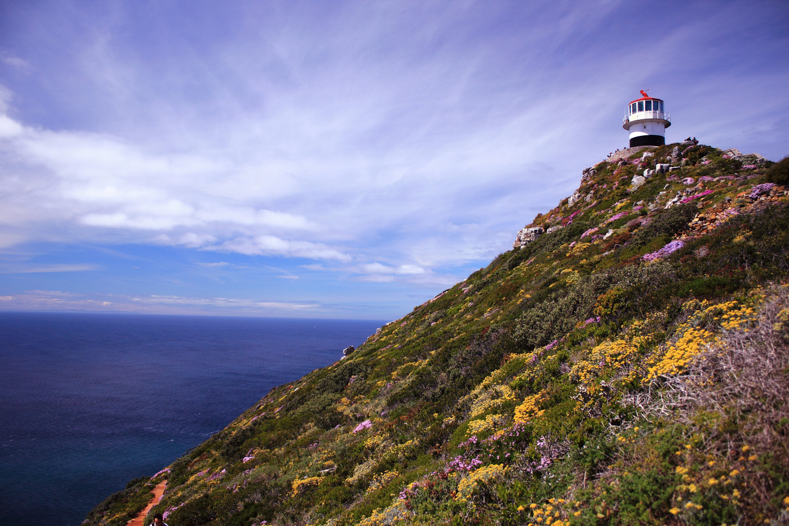 - Cape Point -