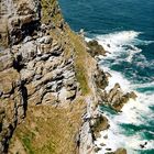 cape point