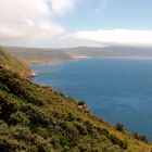 Cape Point Naturschutzgebiet