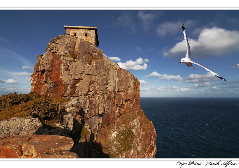 Cape Point - South Africa - No.2