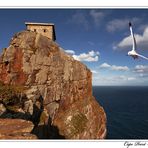 Cape Point - South Africa - No.2