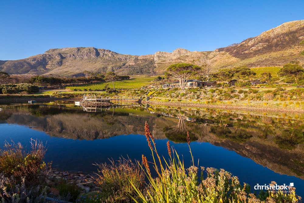 Cape Point Vineyards, Nordhoek