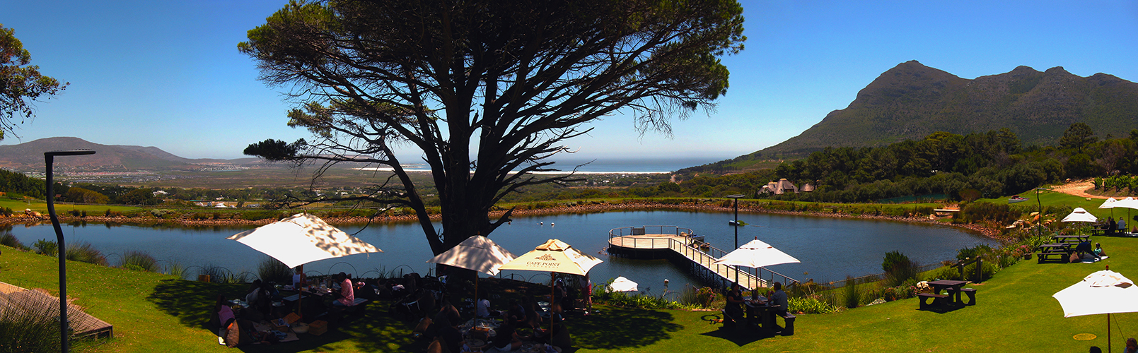 Cape Point Vineyards Restaurant