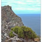 Cape Raoul, Tasmanien