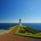 Cape - Reinga