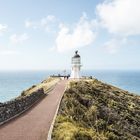 CAPE REINGA