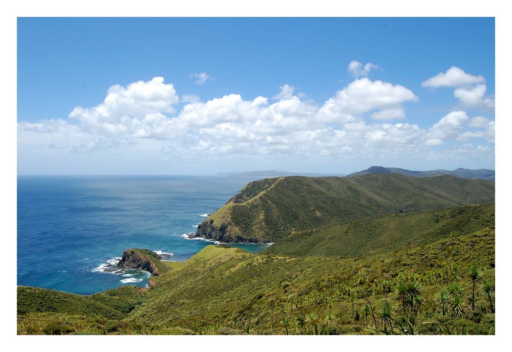 Cape Reinga