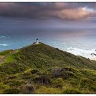 Cape Reinga II