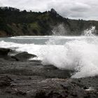 Cape Rodney - Goat Island Marine Reserve