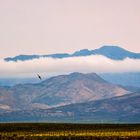 Cape Town, Afrique du Sud