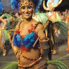 Cape Town Carnival 2011(1)