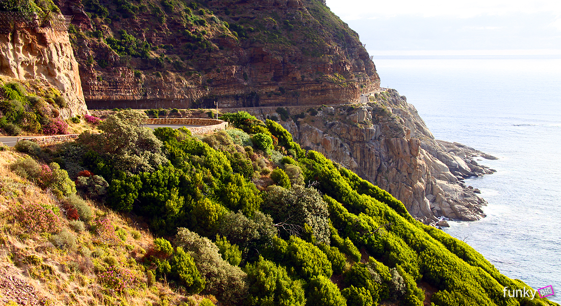 Cape Town // Chapmans Peak // Part 2