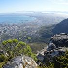 Cape Town