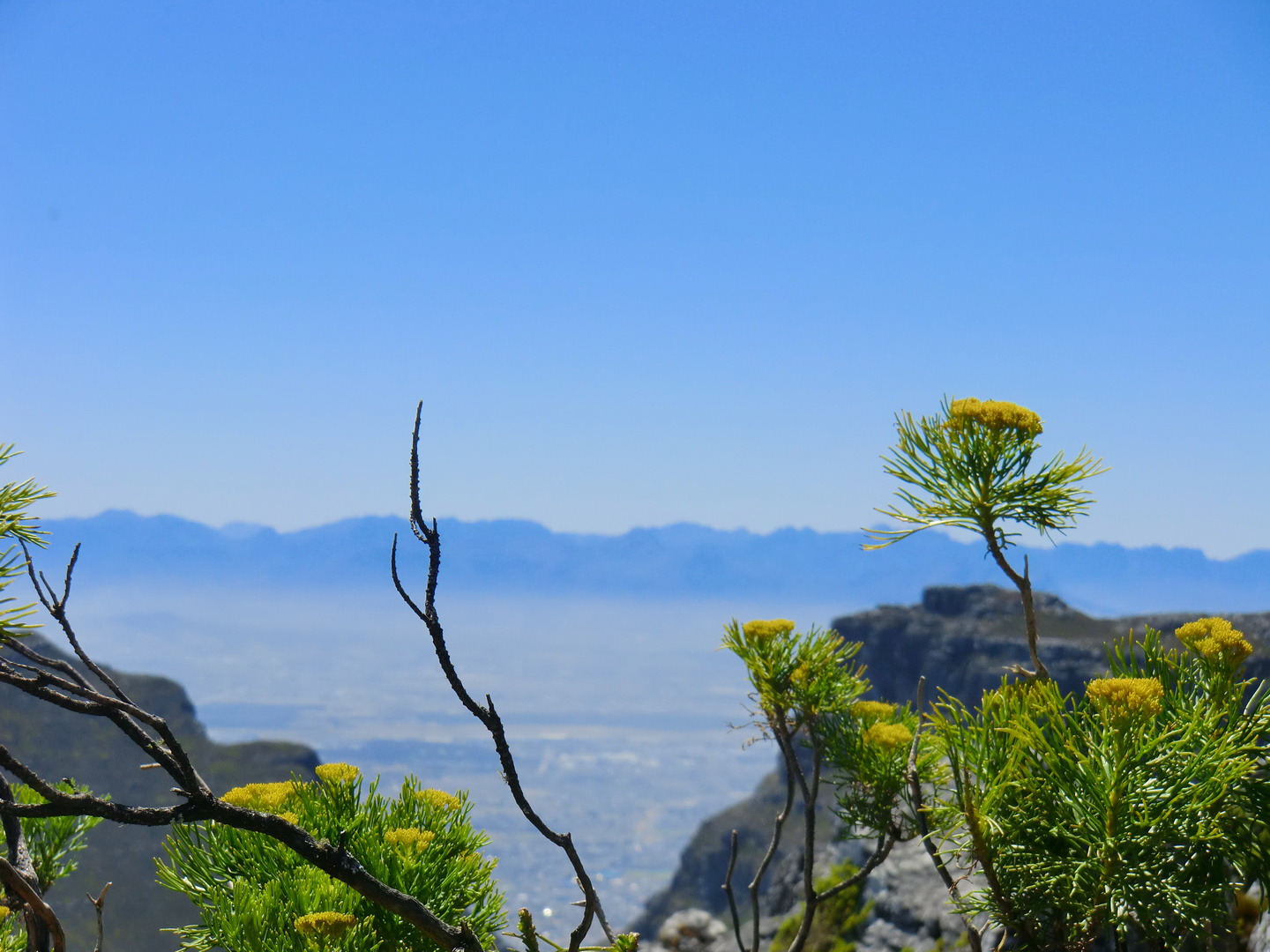 Cape Town - Table Mountain